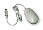 souris.gif